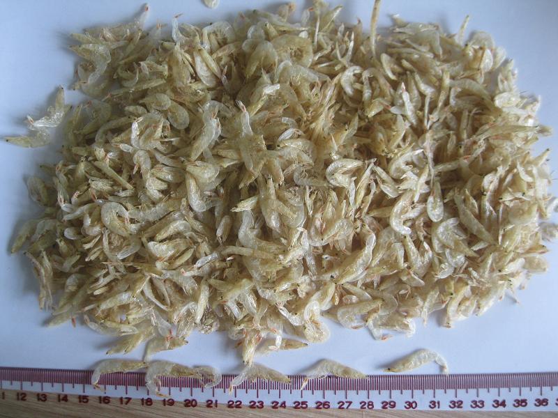 Dried baby shrimp