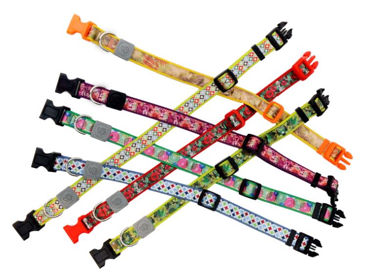 pet dog collar, dog leash, dog harness, cat collar